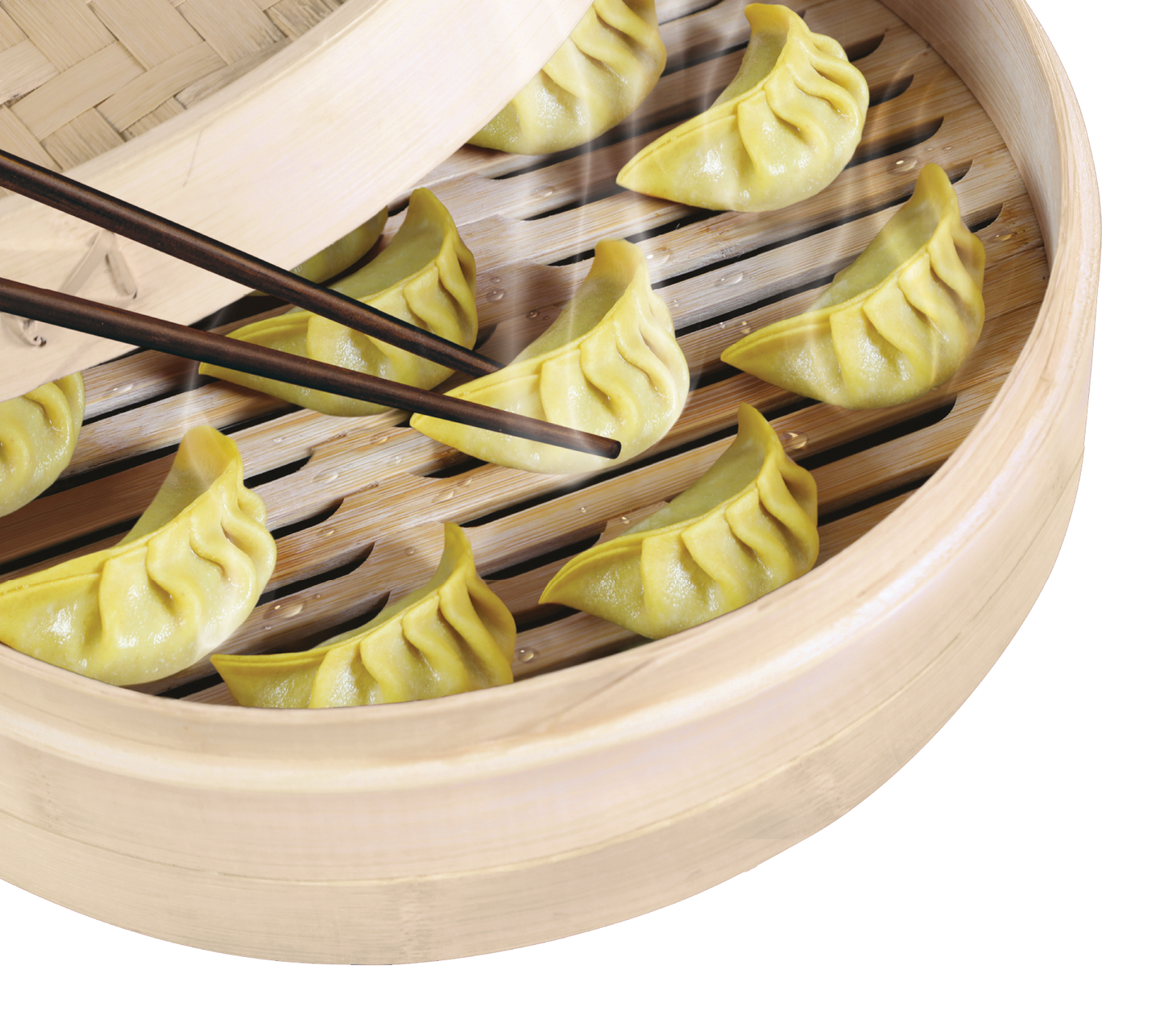 Gelbe Gyoza _ Veggie Protein & Curry (1x600g)